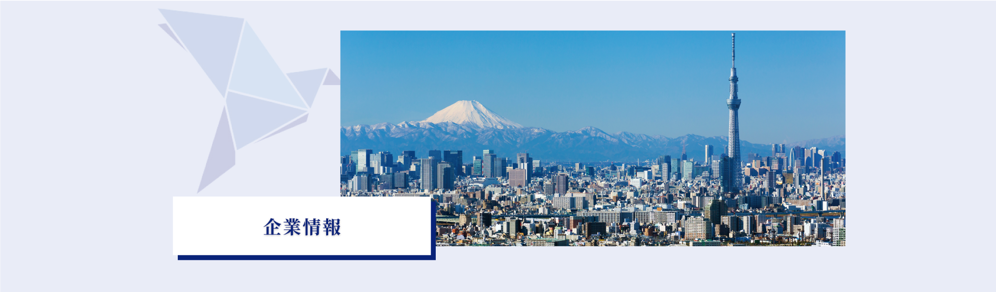 企業情報