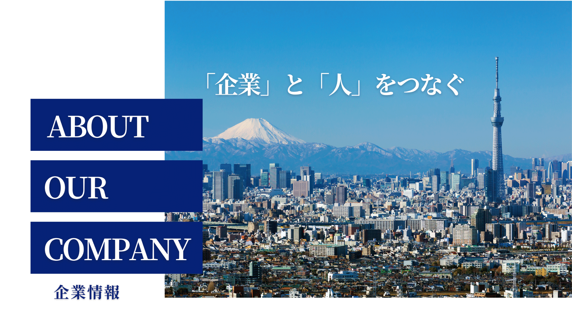 企業情報