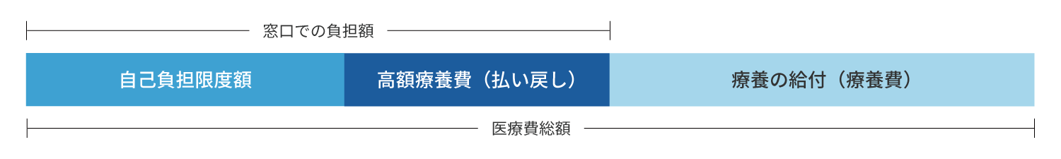 高額な医療費を支払ったとき