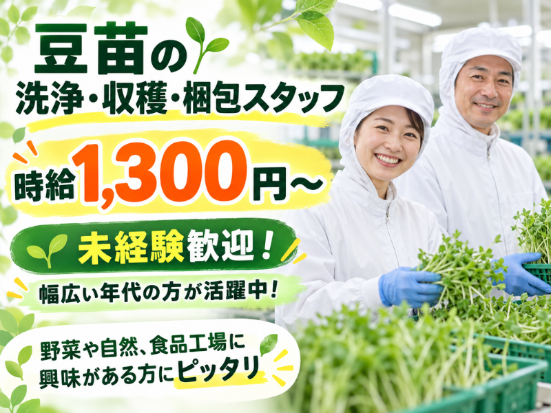 【山梨県北杜市】豆苗の洗浄・収穫・梱包スタッフ｜未経験歓迎｜食品工場｜ライン作業✨